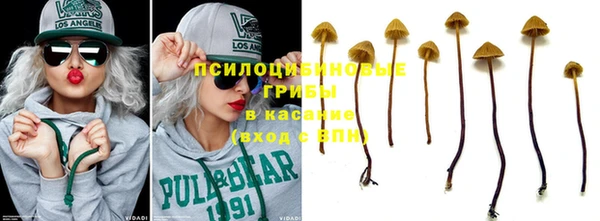 молекула духа Няндома