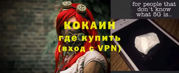 молекула духа Михайлов