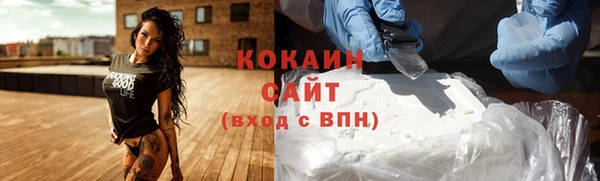 молекула духа Михайлов