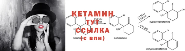 сатива Михайловск