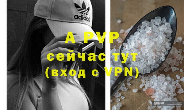 сатива Михайловск