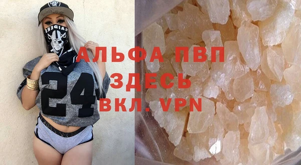 молекула духа Михайлов