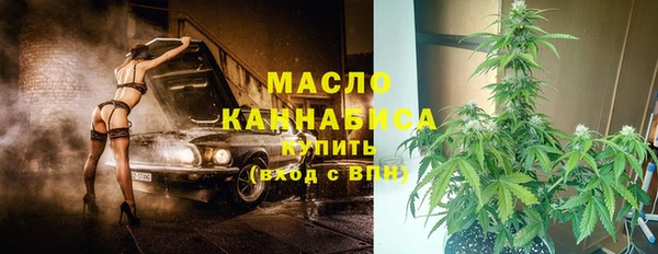 молекула духа Михайлов