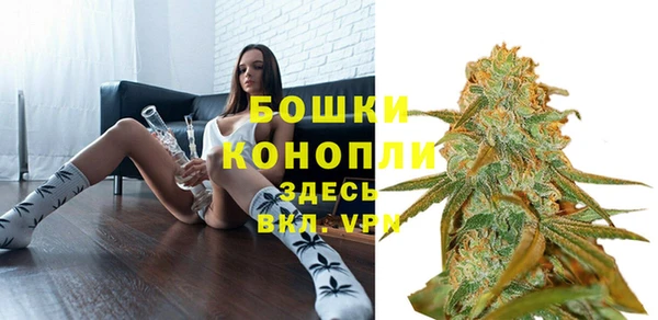 молекула духа Михайлов