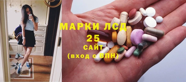 молекула духа Михайлов