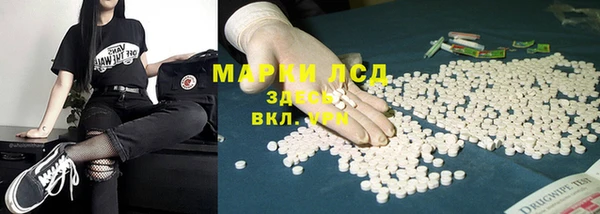 молекула духа Михайлов