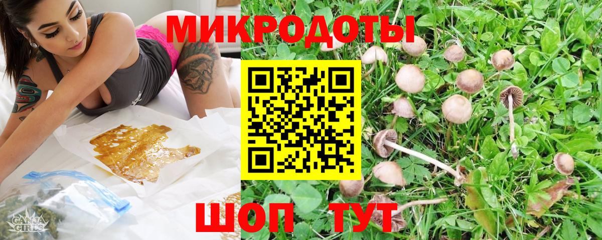 Елец  Галлюциногенные грибы MAGIC MUSHROOMS  Вход с VPN  Галлюциногенные грибы MAGIC MUSHROOMS 