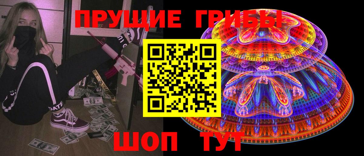 Галлюциногенные грибы Cubensis Елец