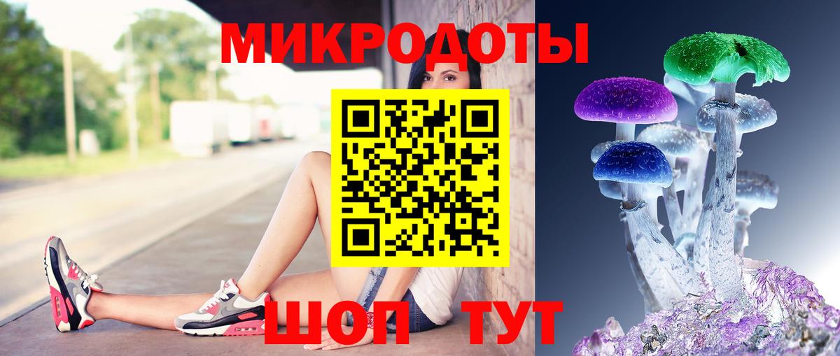 Псилоцибиновые грибы ЛСД Елец